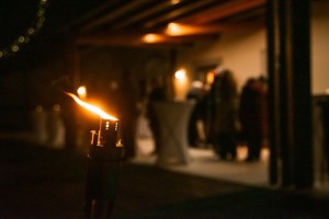 Jan Smigmator ©adlerart