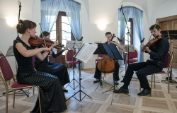Festival Jarmily Novotné 2013