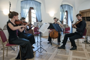Festival Jarmily Novotné 2013