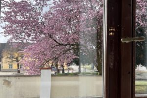 Jarni-akademie-hornistu-2026-16-scaled