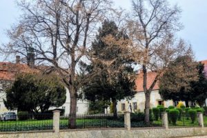 Jarni-akademie-hornistu-2026-2-scaled