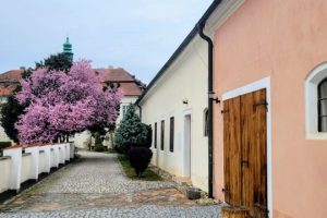 Jarni-akademie-hornistu-2026-3-scaled