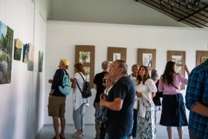 web_adlerart-66