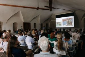 IMG-41