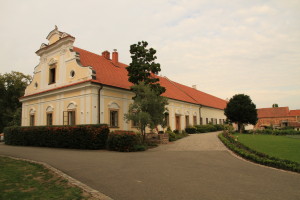 Cechovna01