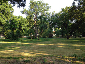 červenec1