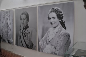FJN2016_vystava Beroun_c_archiv Zamek Liten 012_res