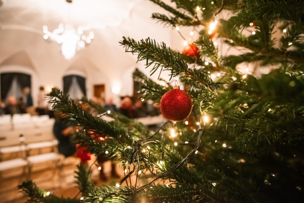 Advent Čechovna 25